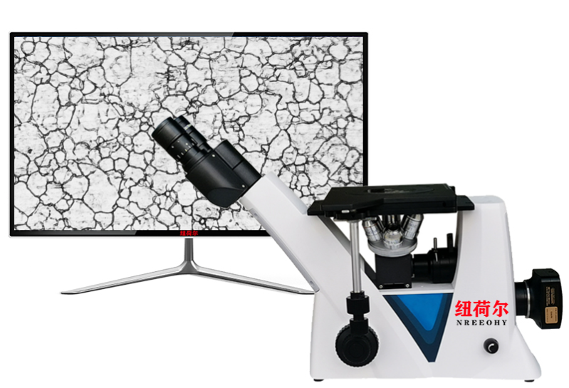 纽荷尔显微镜 J-E98L 闪耀登场，引领微观观察新潮流