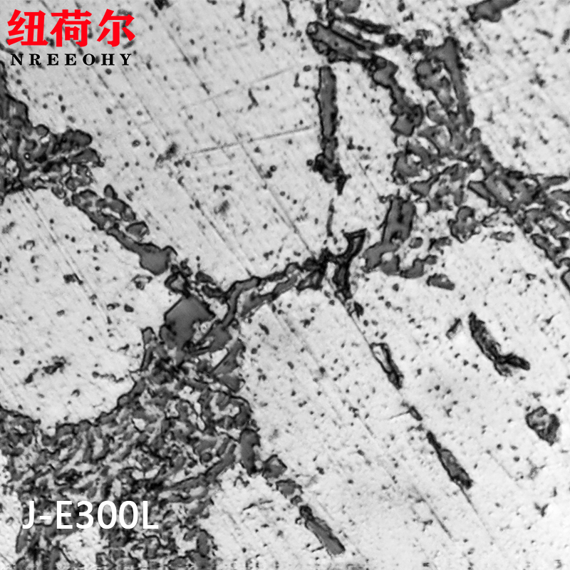 集观察拍摄晶粒分析于一体研究级倒置金相显微镜金相组织自动评级金相显微镜J-E300L【旗舰版】