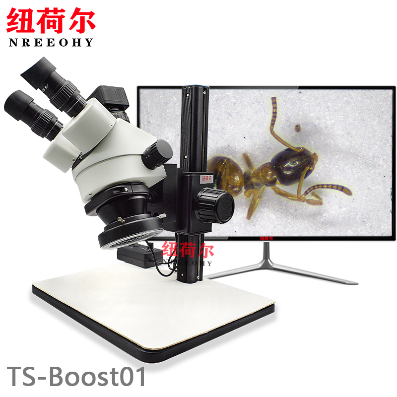 体视显微镜TS-Boost01可摇摆式镜头支持倾斜角度观察平面观察显微镜配套千分尺
