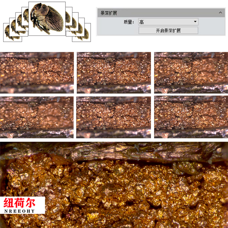 研究级材料科学高分辨率金相显微镜实验室高性能显微系统J-E300HD