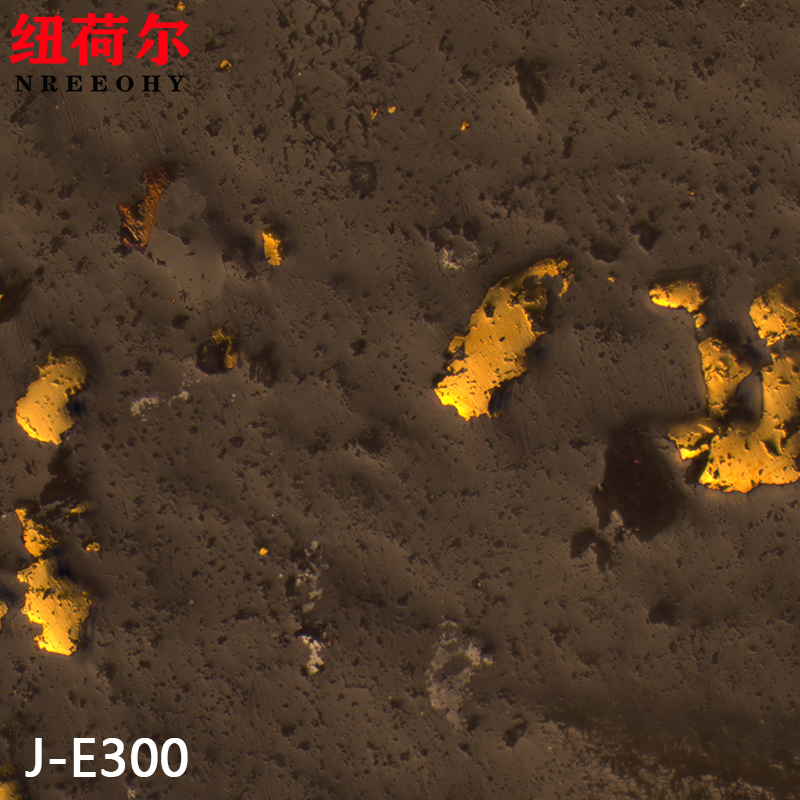 研究级金相显微镜材料科学实验室数码显微系统显微镜J-E300【旗舰版】