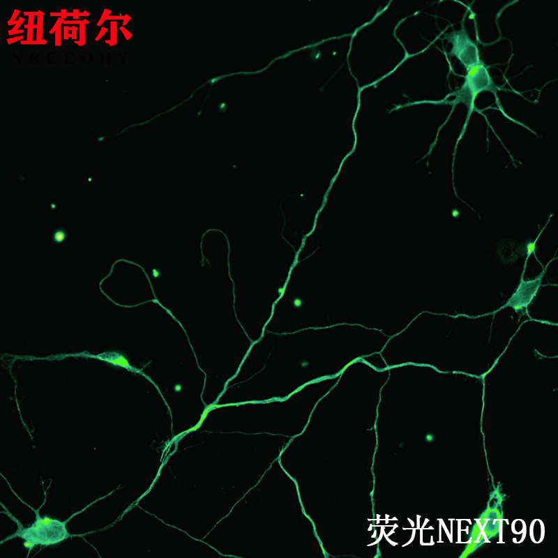 研究级倒置荧光显微镜VUVBG四色激发彩色合成专业显微成像系统NEXT90