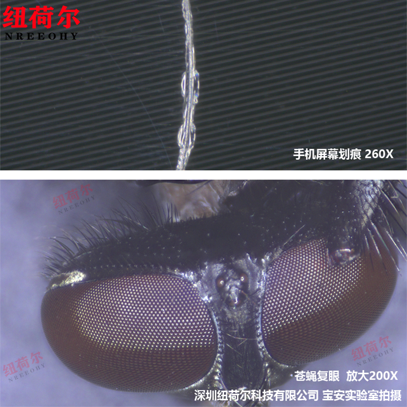 电子显微镜连续变焦视频高清成像带屏显示测量拍照U盘储存检测DZ-9188