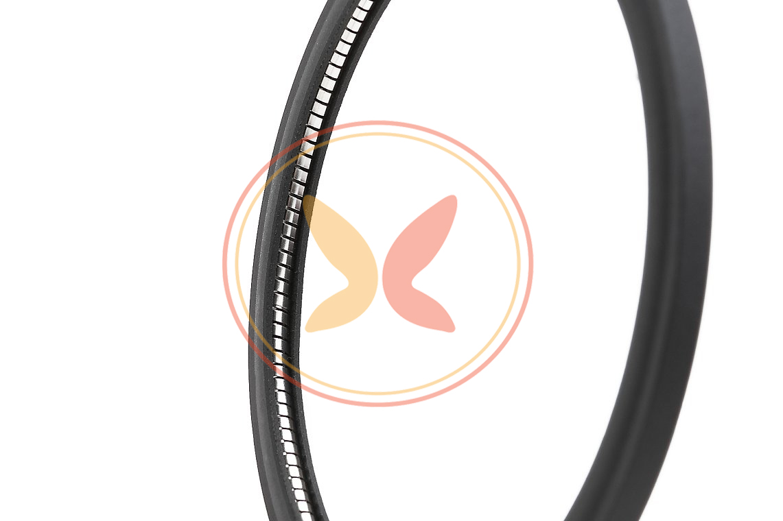 端面泛塞密封-DVE DVL