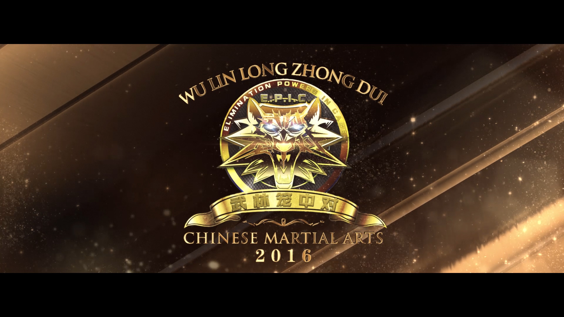 武林笼中对—高俊野 