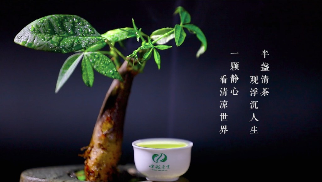 《茶叶》抖音短视频