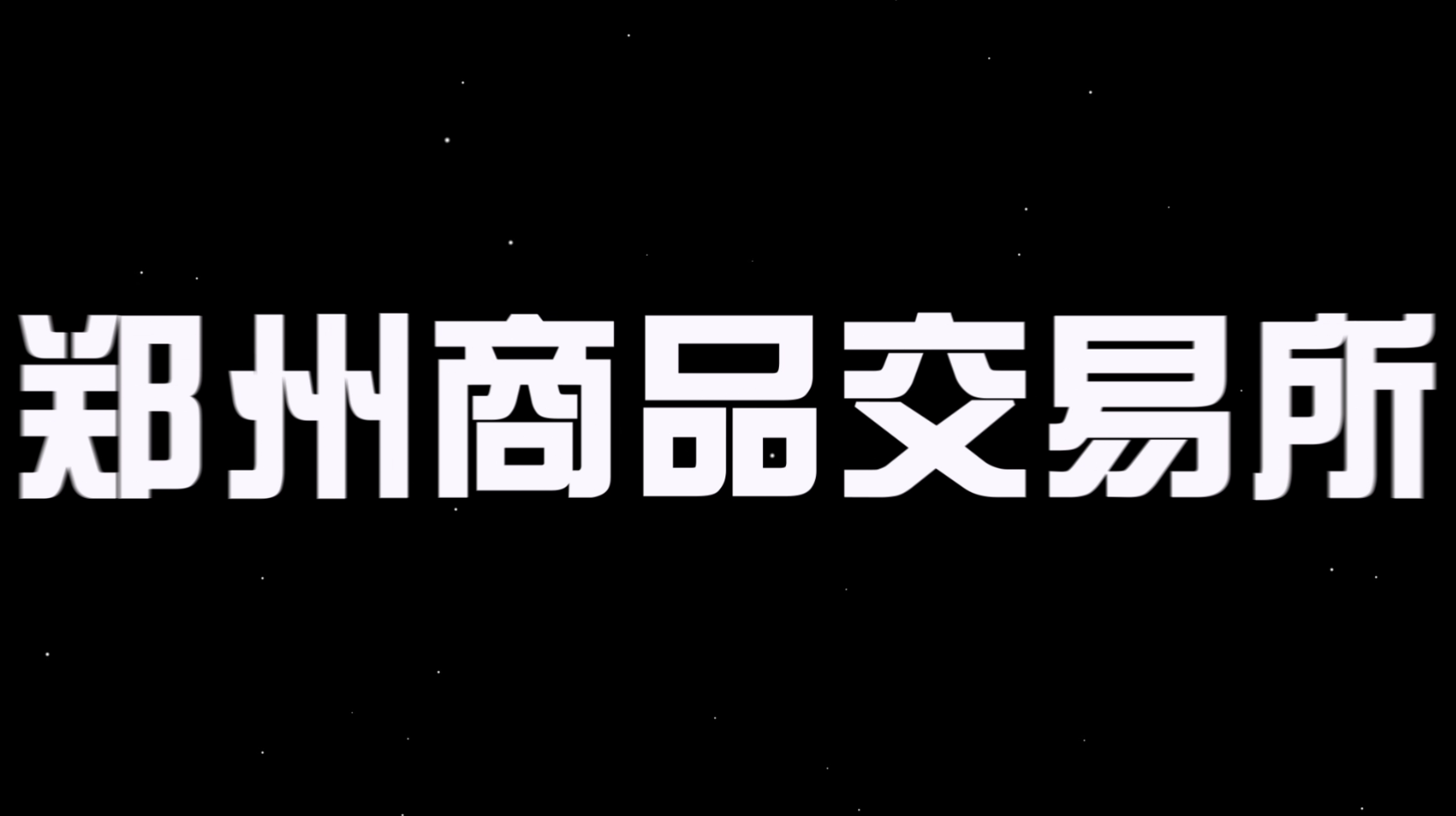 《郑商所年会》活动片