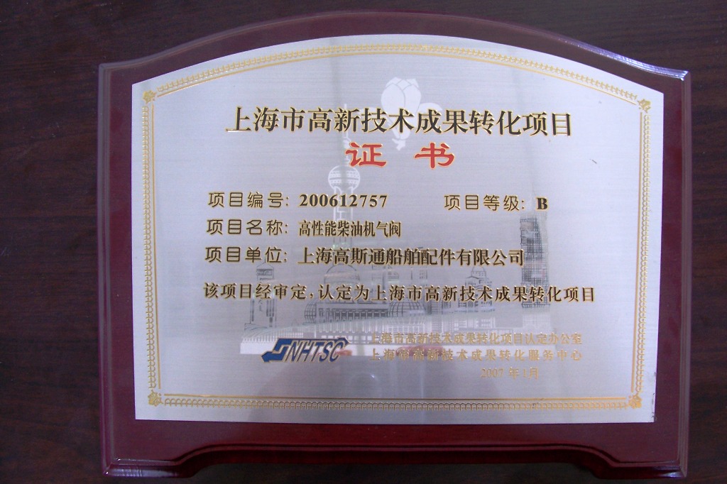 上海高新技术成果转化项目