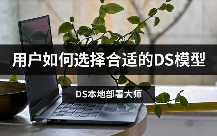 用户如何选择合适的DS模型