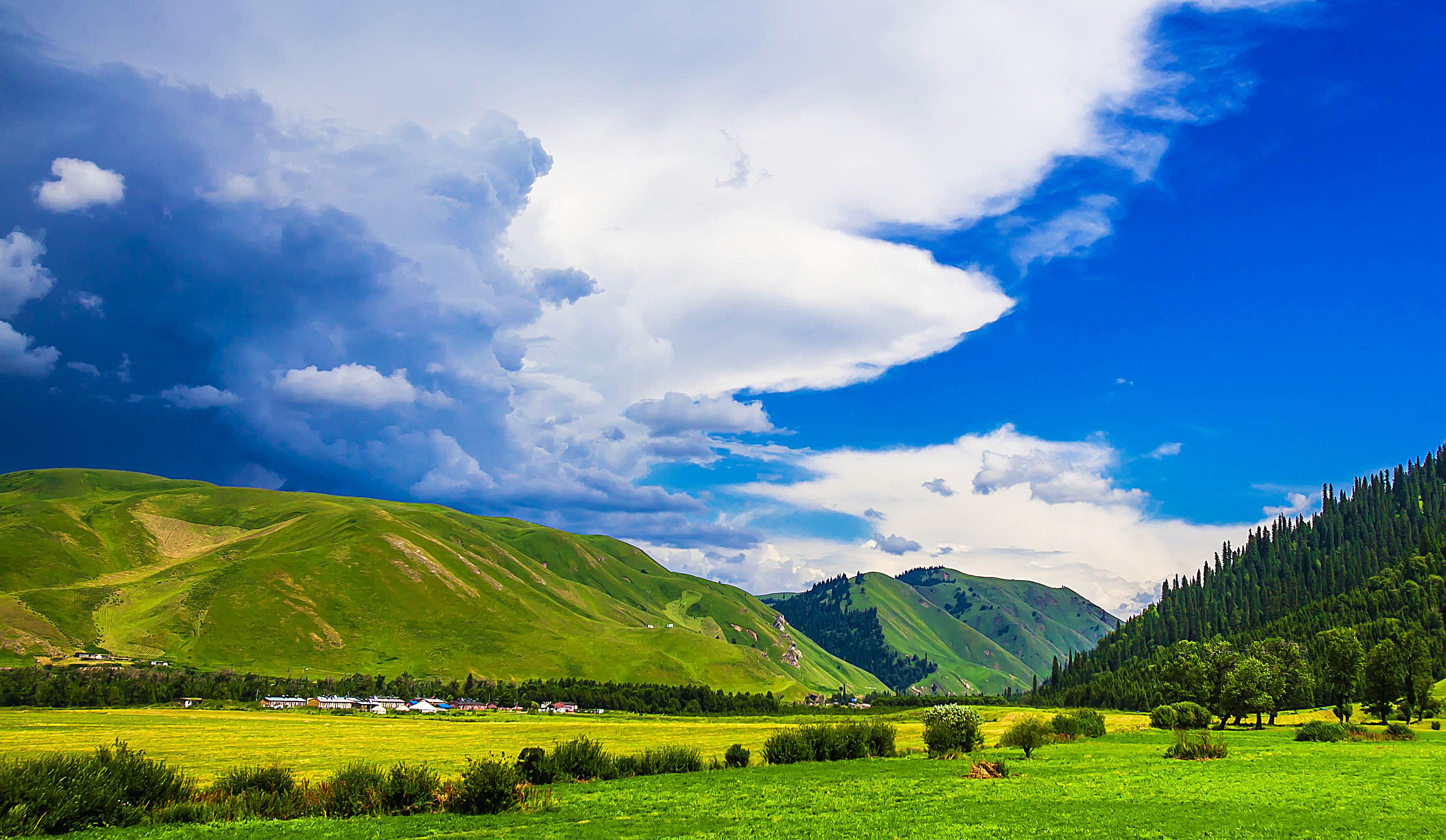 伊犁花游季 巴音布鲁克双飞 8 日