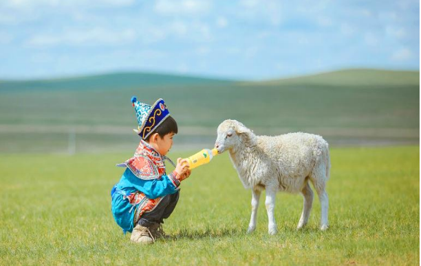 阿尔山深度游 0 购物 双飞 8天 7晚