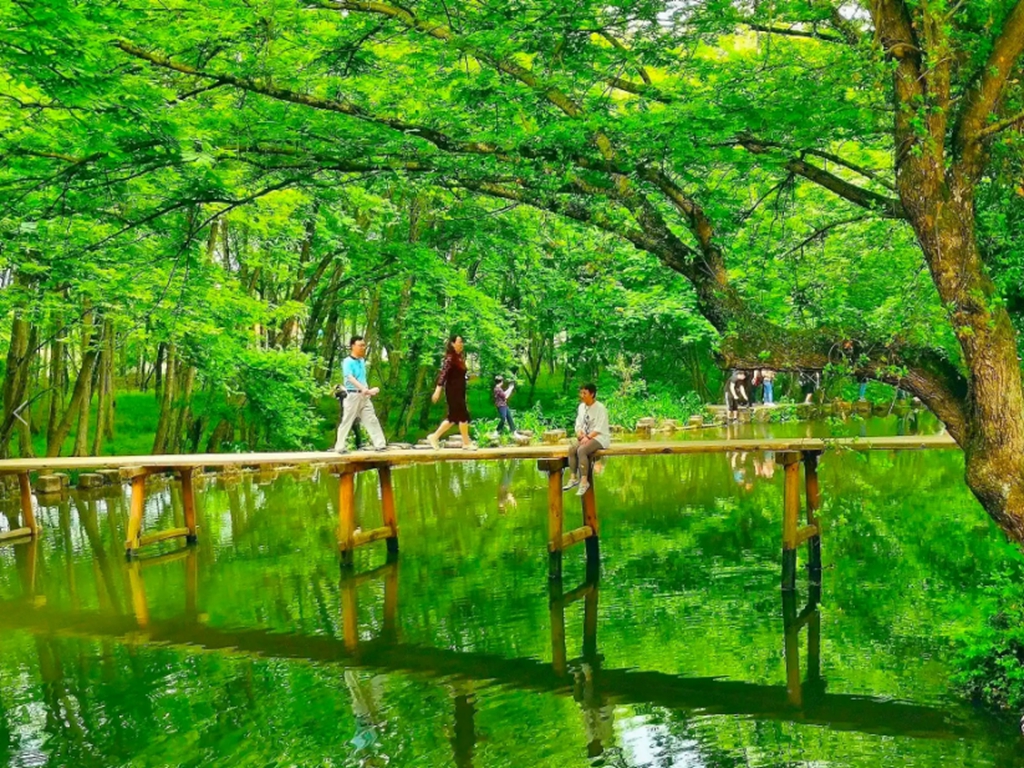 绝景黄山、 西溪南嬉戏下河抓虾、国画宏村、屯溪明清老街纯玩双高 6 日之旅