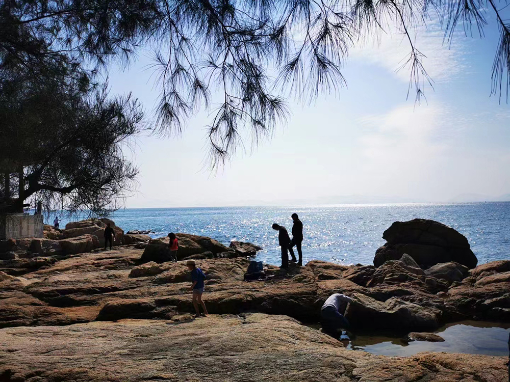 红色旅游景点深圳葵涌沙鱼涌有古村有沙滩旧貌换新颜值得一游