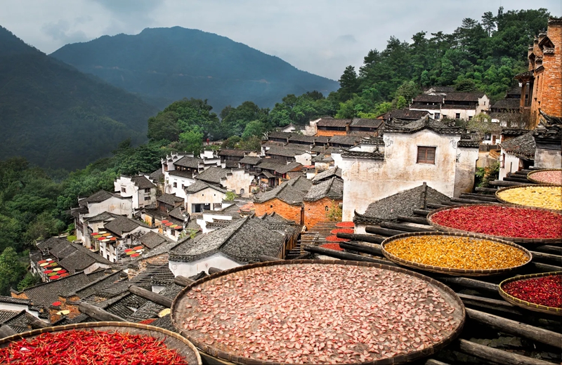 《庐山恋》 庐山一地休闲四日游