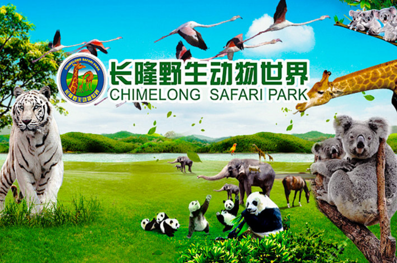 顺德逢简水乡、黄妈妈金牌私房菜、广州长隆野生动物世界2天团