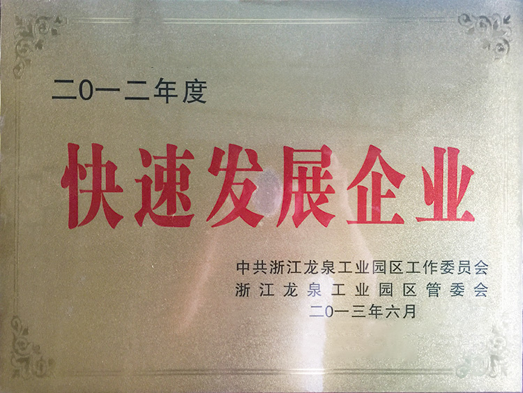 快速发展企业