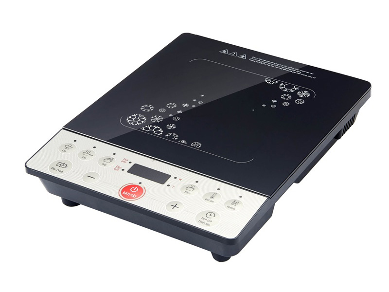 FS-IC204
