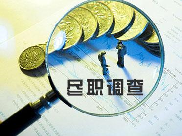 尽职调查审计