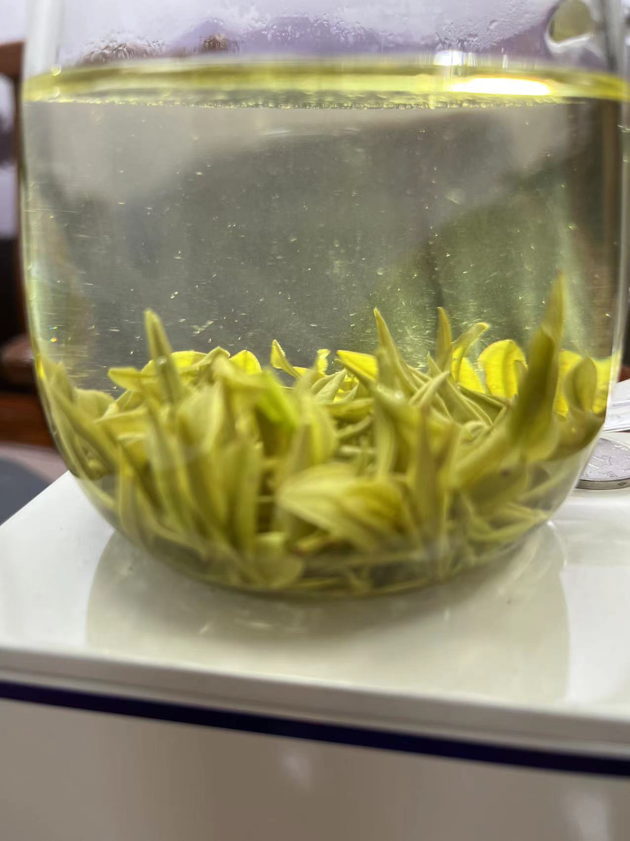 安吉白茶明前茶礼盒装
