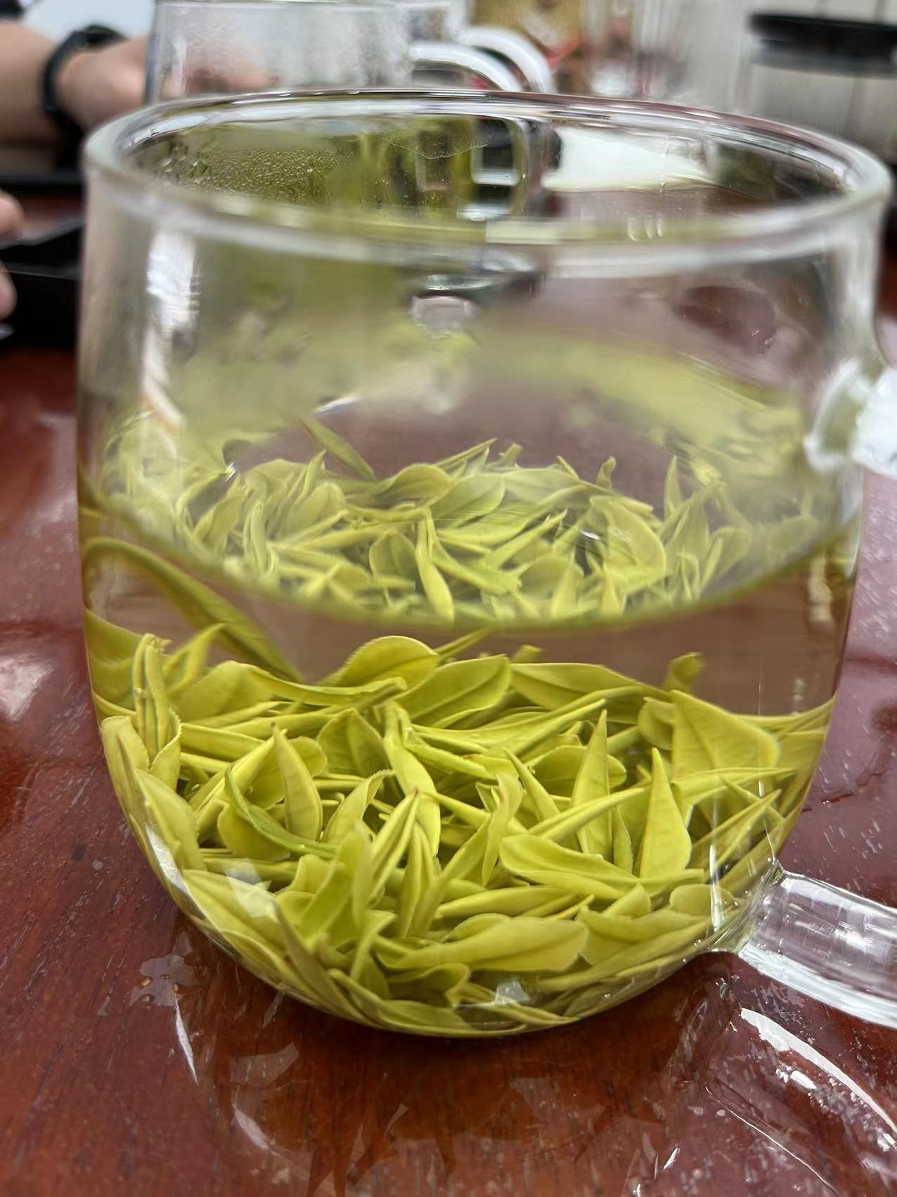 安吉白茶明前茶礼盒装
