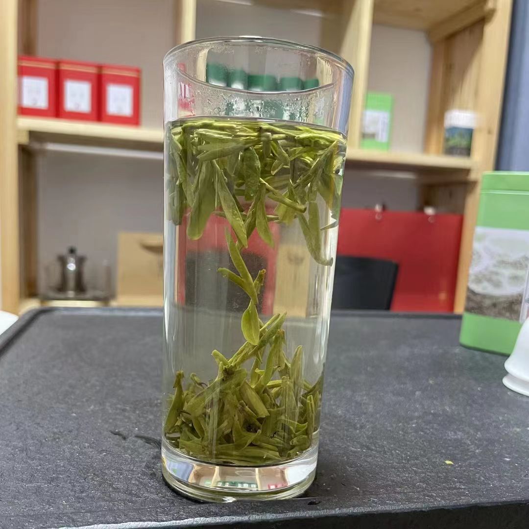 明前龙井群体种