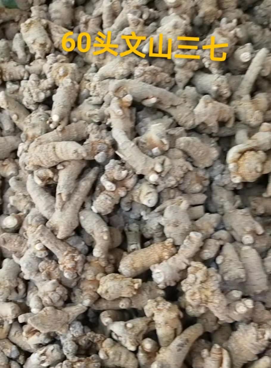 文山三七