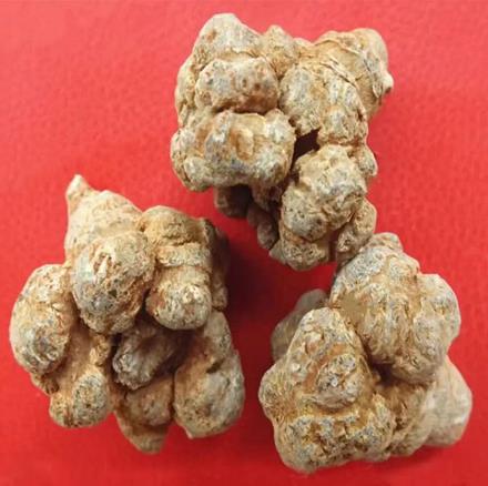 文山三七特级