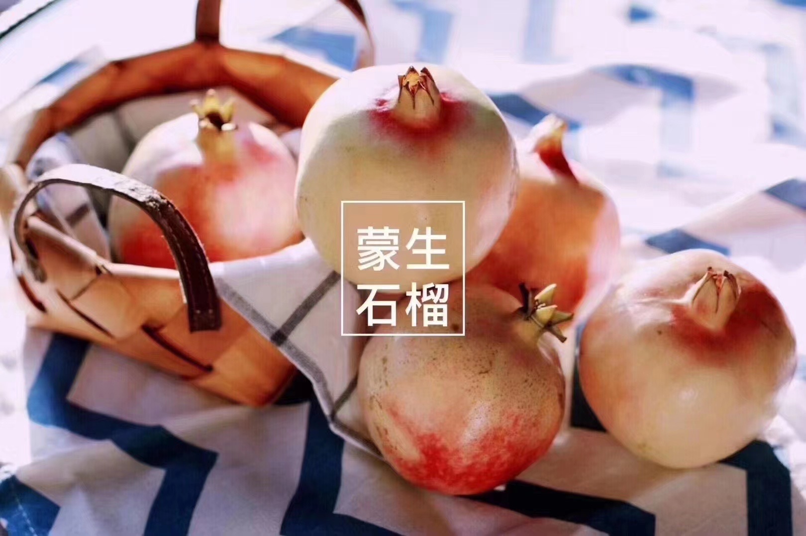 2024年蒙自甜石榴