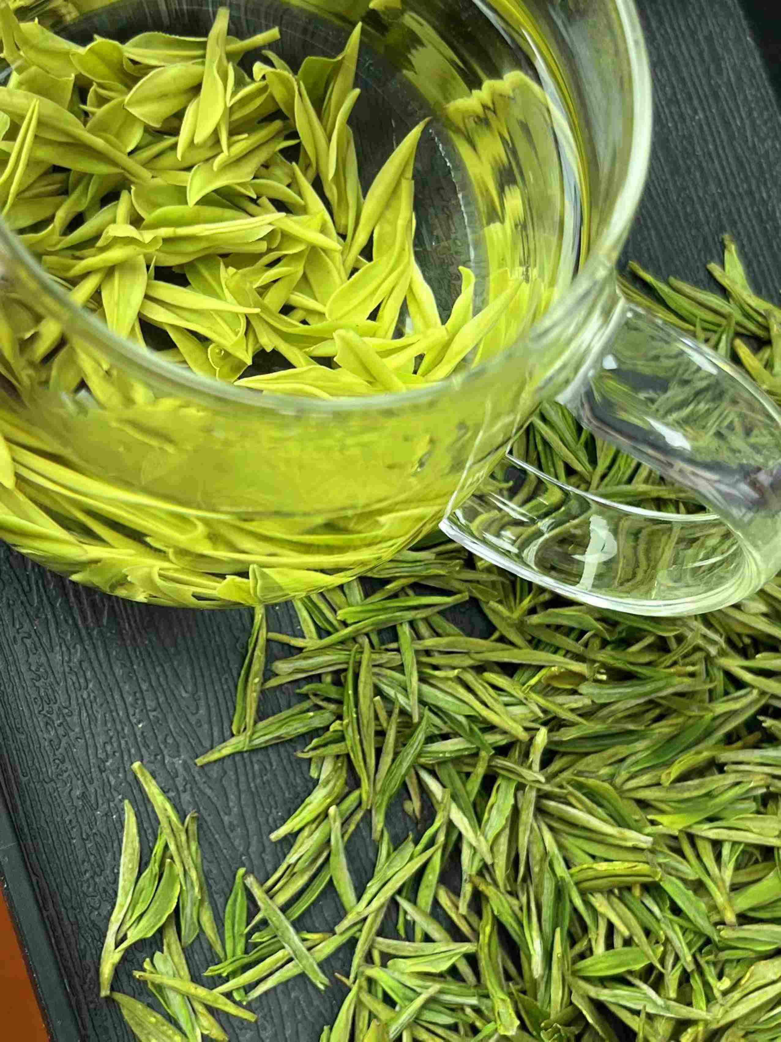 安吉白茶明前开园头采