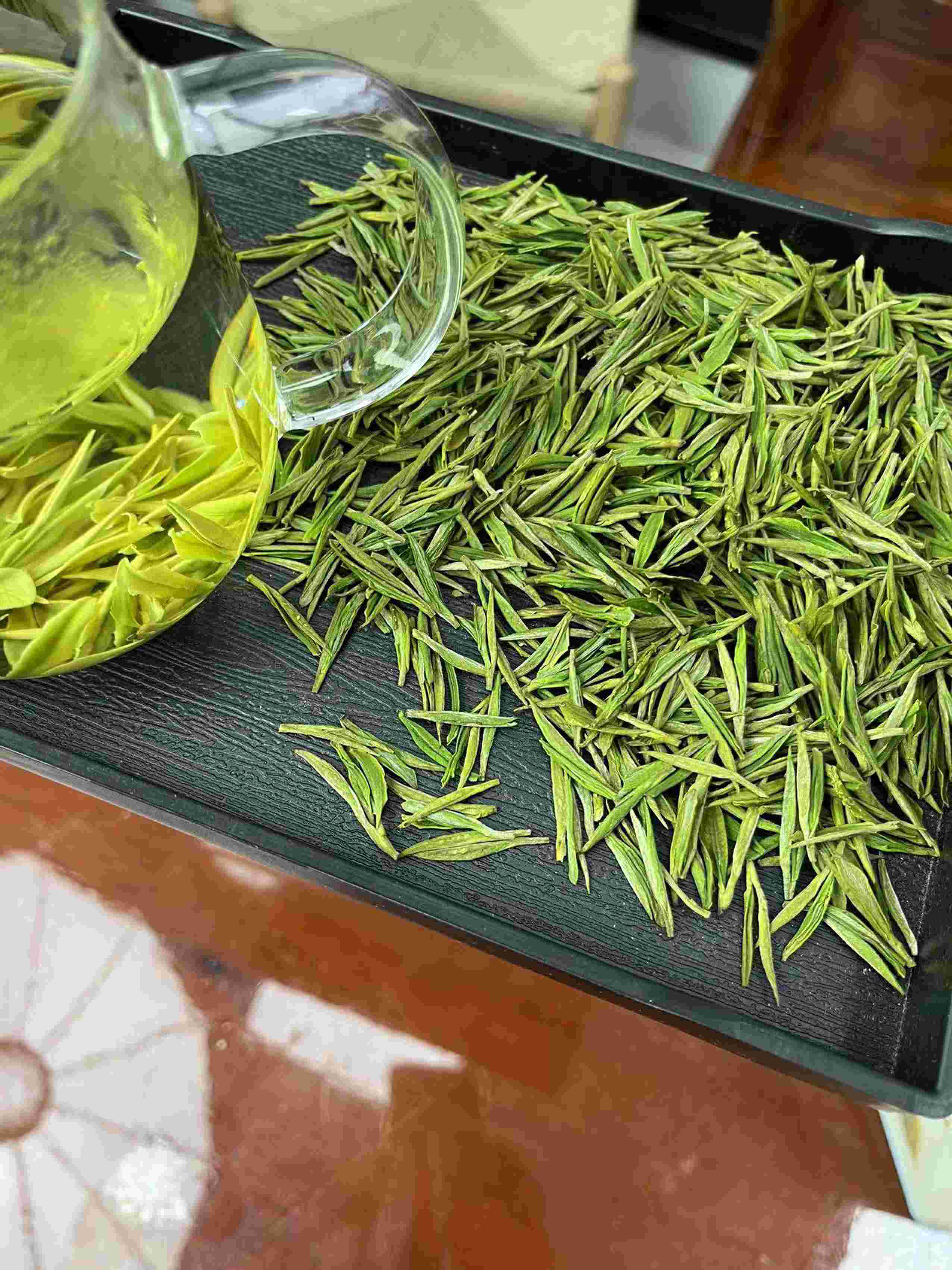 安吉白茶明前开园头采