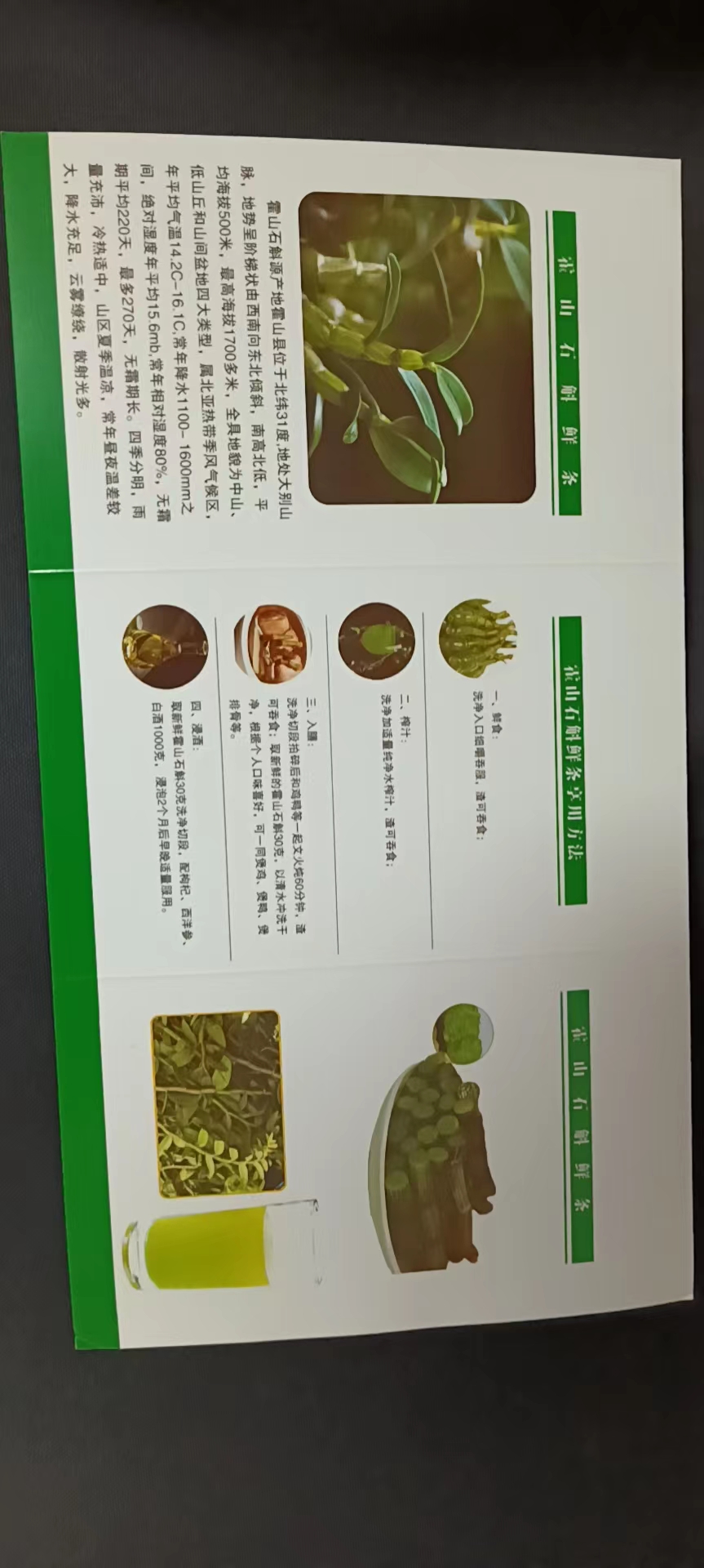 石斛鲜条