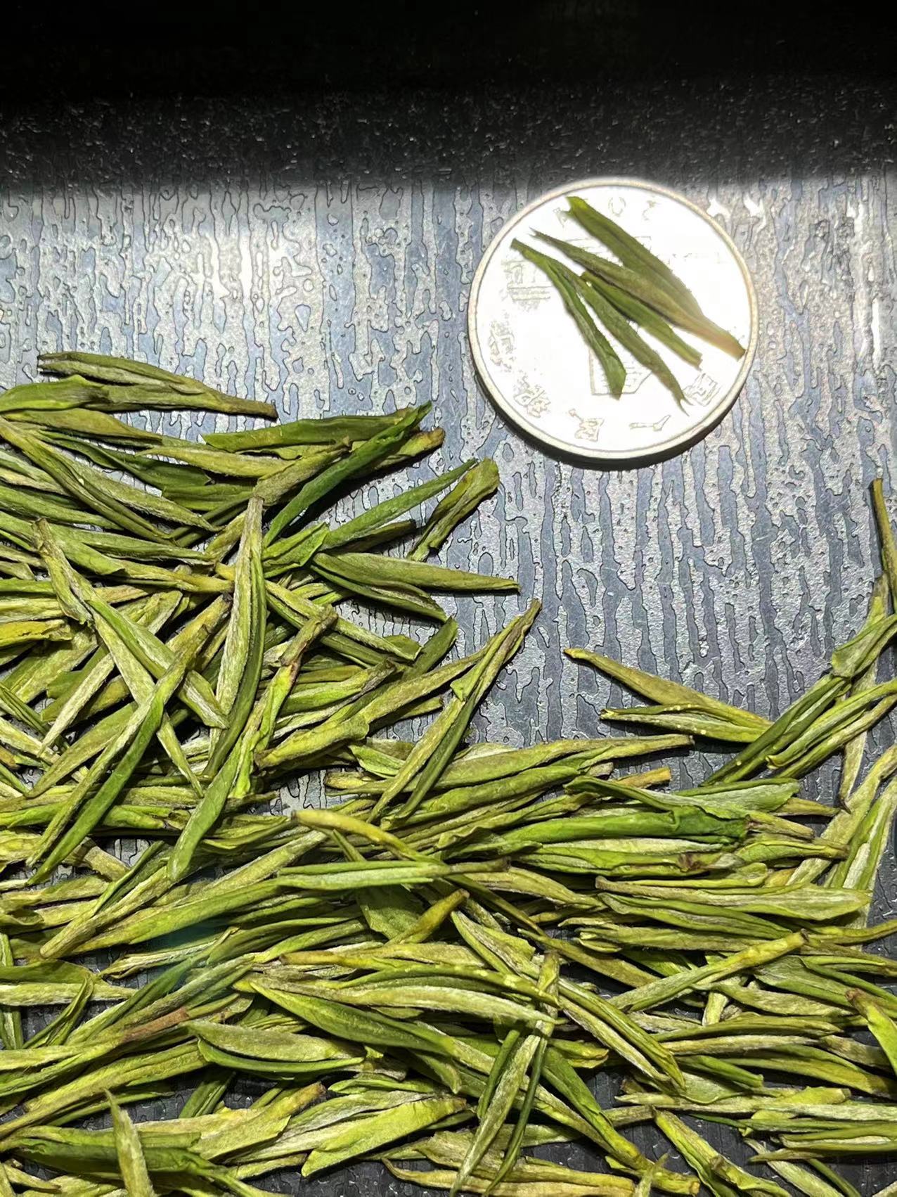 安吉白茶明前开园头采