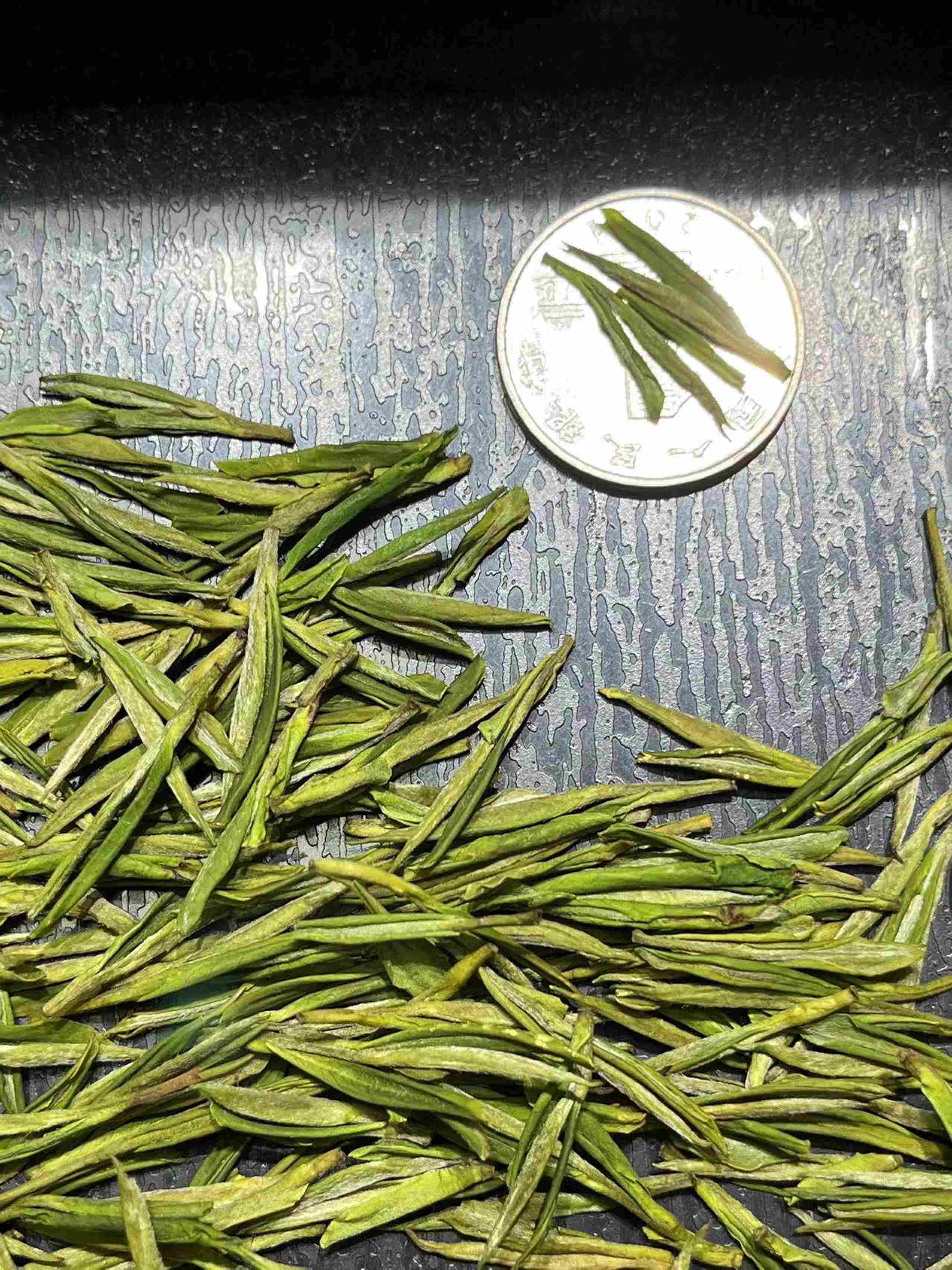 安吉白茶明前开园头采