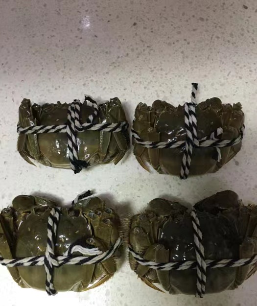 巧福阳澄湖大闸蟹