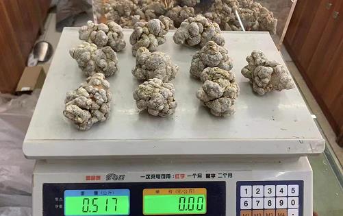 文山三七药效王