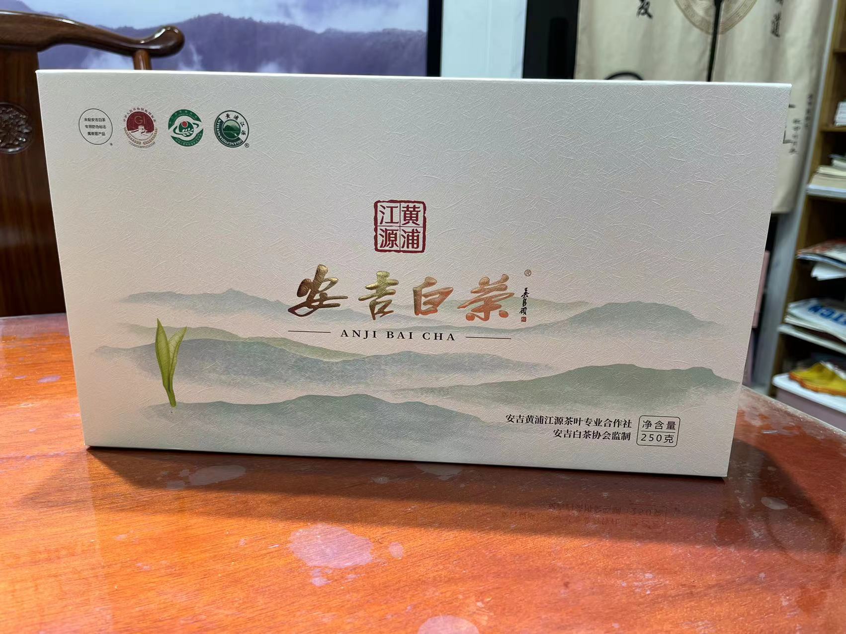 安吉白茶明前开园头采