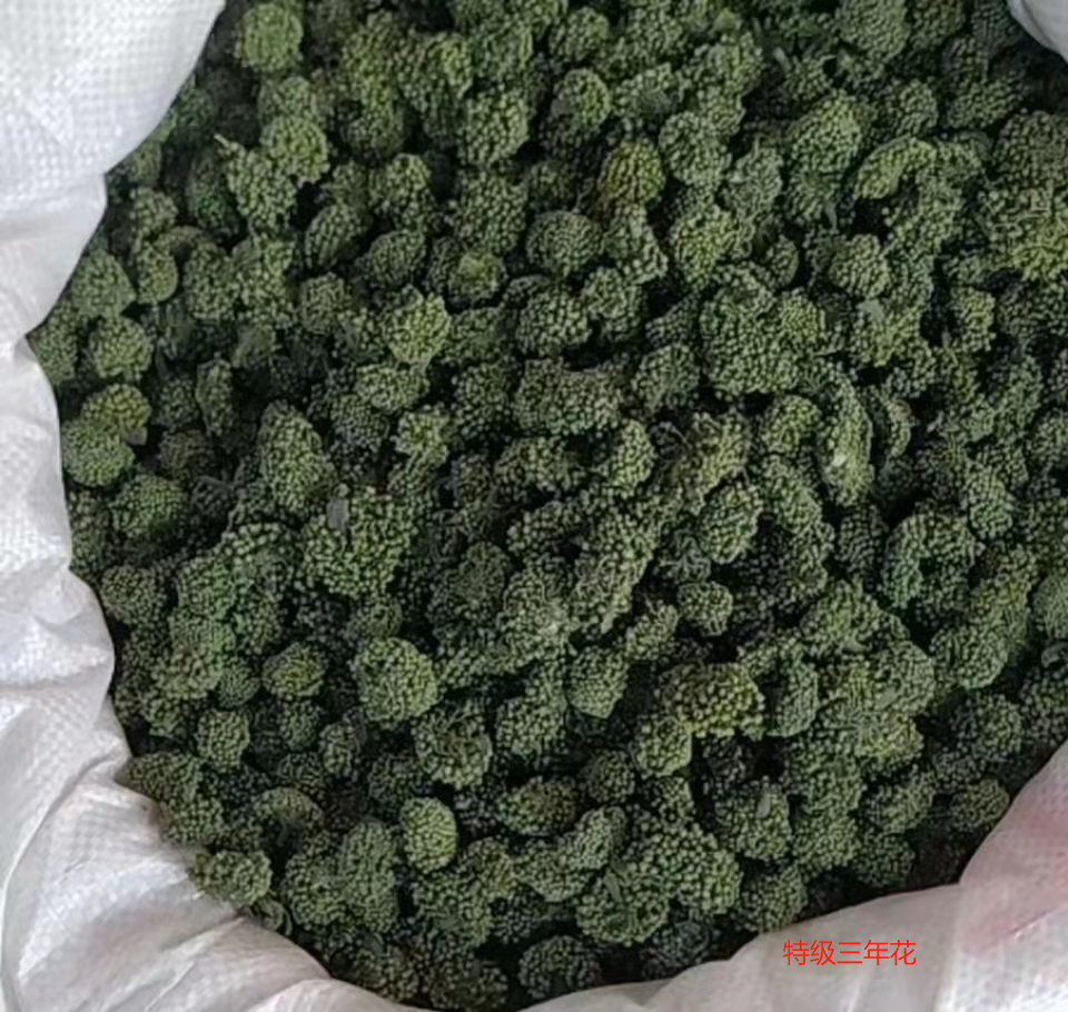 文山三七花