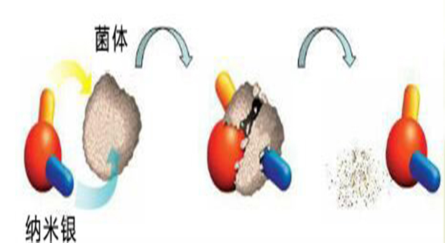 纳米银抗菌原理