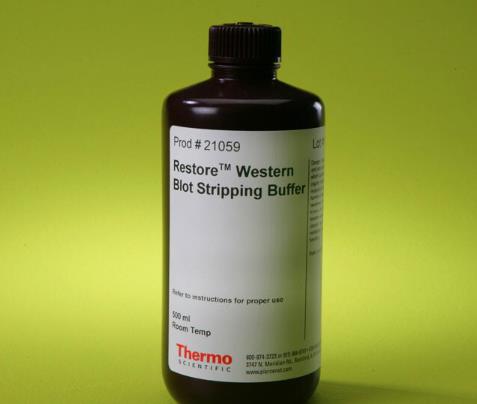 Thermo Scientific Western 印迹剥离缓冲液（WB洗膜液、蛋白印迹膜再生液）