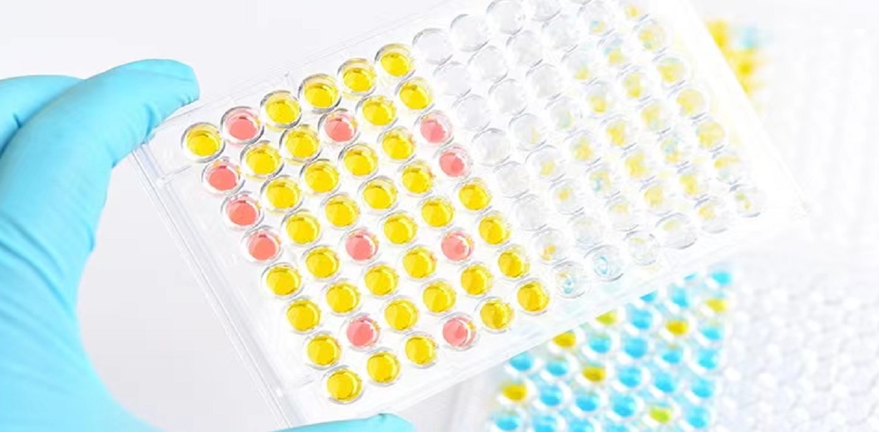 酶联免疫吸附(ELISA）代测服务