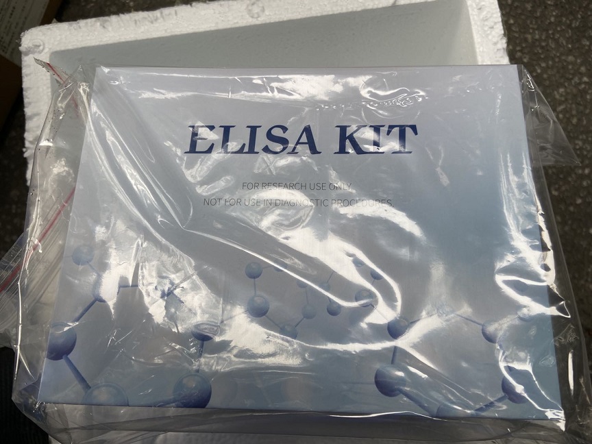 人饥饿素(ghrelin)酶联免疫试剂盒 ELISA KIT