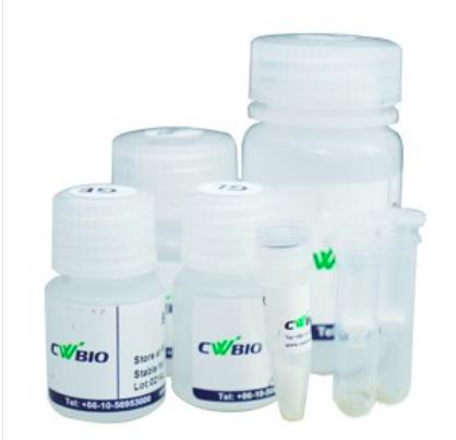 康为 Viral DNA/RNA Kit 共提取试剂盒 50次