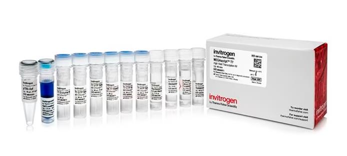 Invitrogen MEGAscript T7 体外转录试剂盒 40 reactions