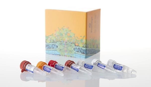 Promega T7 RiboMAX Express RNAi System P1700