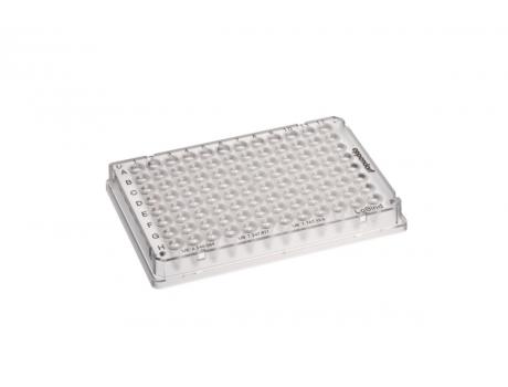 艾本德 低吸附Eppendorf twin.tec 96孔PCR 板