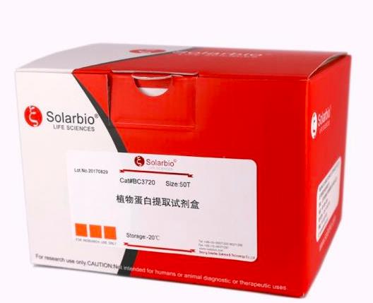 Solarbio PAGE 胶蛋白微量回收试剂盒 20T