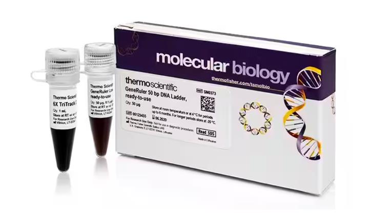 赛默飞 GeneRuler 50 bp DNA 分子量标准，即用型 SM0373