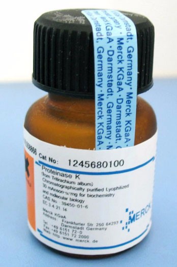 蛋白酶 K 溶液 (20mg/mL)