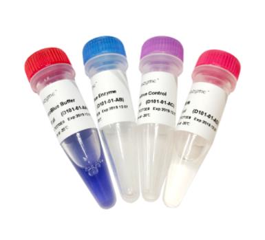 诺唯赞 细胞培养物支原体污染检测试剂盒 MycoBlue Mycoplasma Detector D101