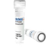 Selleck 单克隆抗体Tislelizumab (Anti-PDCD1 / PD-1 / CD279) 别名：BGB-A317